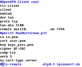 Config_ovpn.png